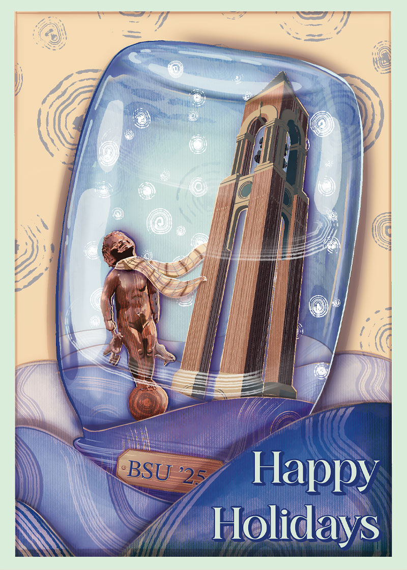 Design bsu holidays